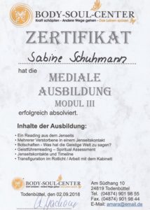 Ausbildung zum Medium Modul3